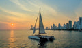 Tour por la Bahía Catamaran