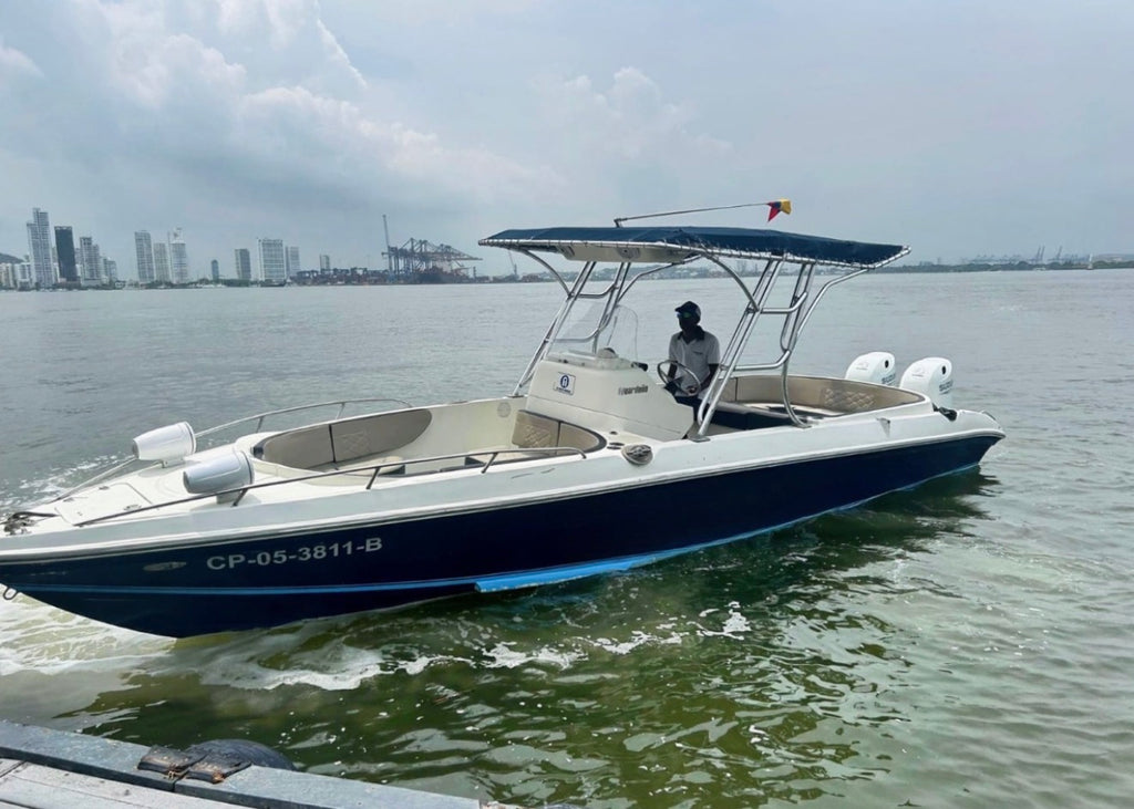 BRAVO 290 IX - 10PAX