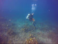 Mini Curso de Buceo en Baru