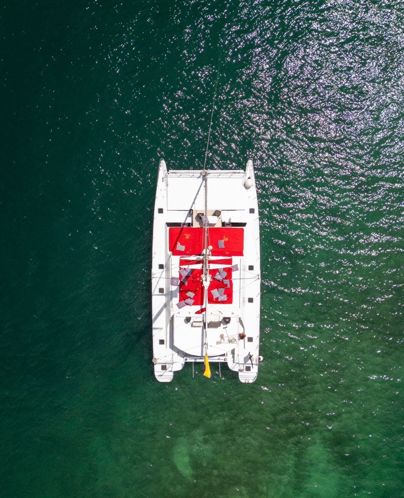 CATAMARAN - 56 PAX