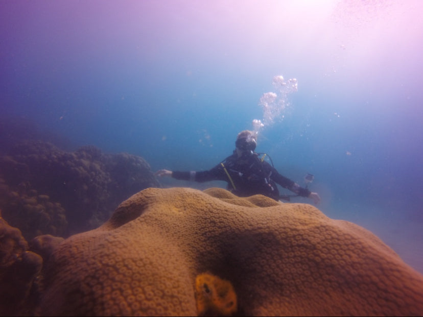 Mini Curso de Buceo en Baru