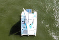 CAT WILDCAT 38FT - 16 PAX