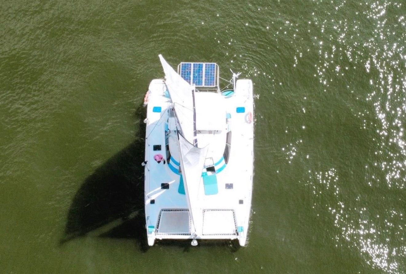 CAT WILDCAT 38FT - 16 PAX